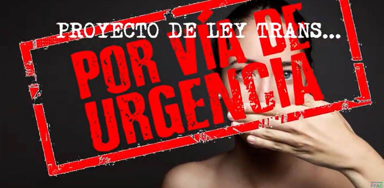 El video de Feministas al Congreso sobre La Ley Trans por via de ...