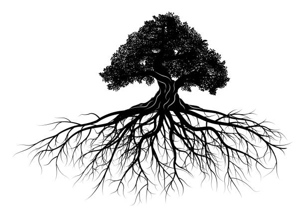 tree silhouette on white background. Vector illustration.