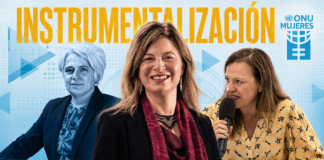 Organizaciones de mujeres denuncian ante la ONU a la directora regional de ONU Mujeres por atacar la independencia de la Relatora Especial sobre la violencia contra las mujeres y las niñas.