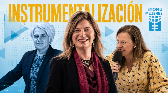 Organizaciones de mujeres denuncian ante la ONU a la directora regional de ONU Mujeres por atacar la independencia de la Relatora Especial sobre la violencia contra las mujeres y las niñas.